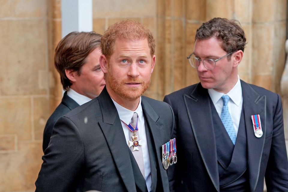 ‘I was staring at a strange creature through the bars of its cage’: Martina Devlin on reading Spare by Prince Harry