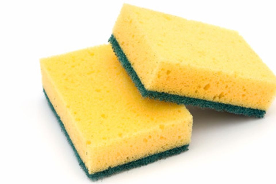 Washing deals up sponges