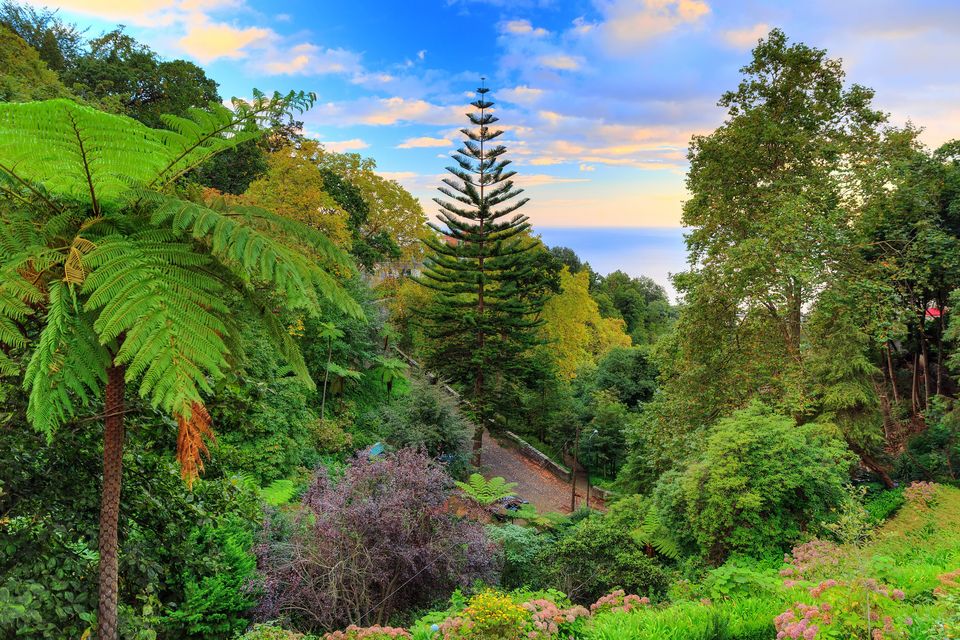 Monte Palace Tropical Gardens, Madeira. iStock/PA.