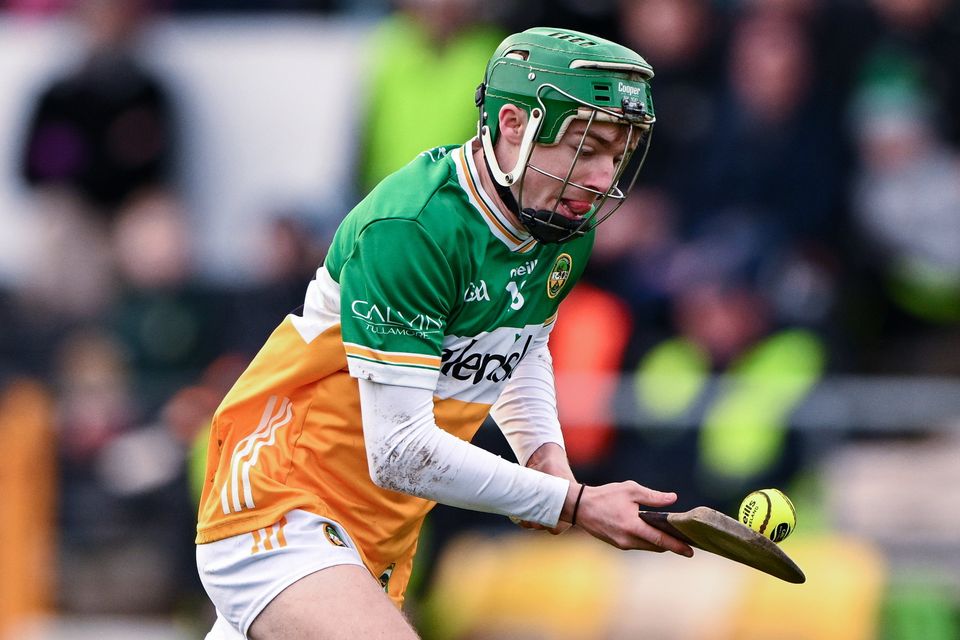 Adam Screeney notched 15 points for Offaly against Laois