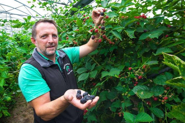 Revealed: the Carlow businesses shortlisted for the Good Food Ireland national awards final