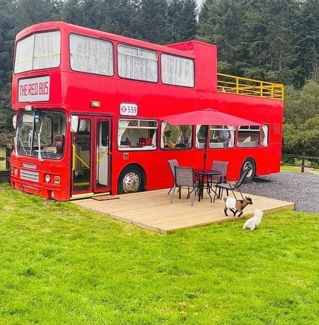 Ox Mountain Red bus
