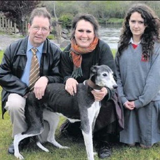 The good life for greyhounds Irish Independent