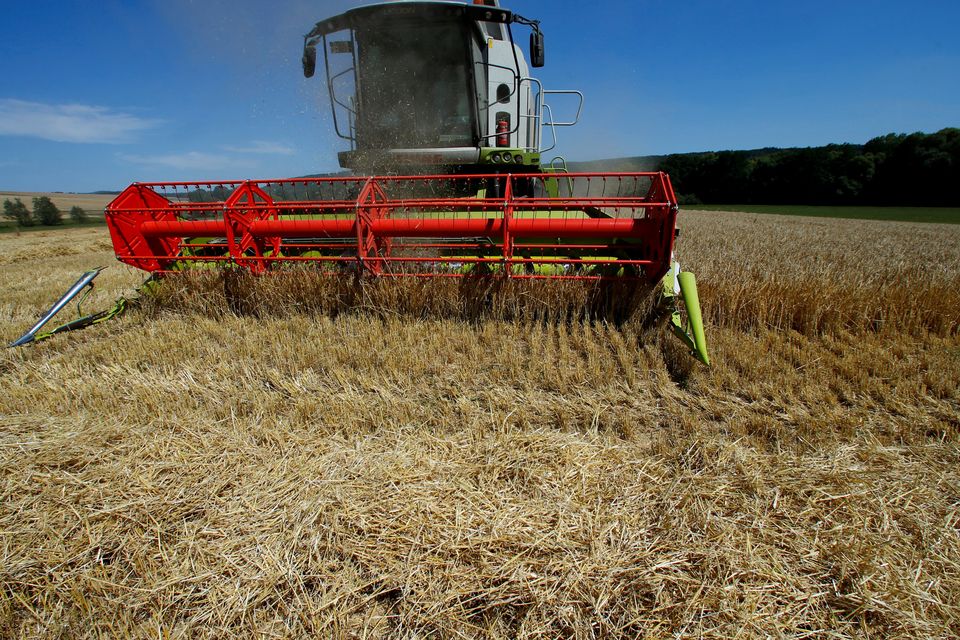 A farmer harvests wheat near Usingen, Germany, August 6, 2018.    REUTERS/Ralph Orlowski/File Photo