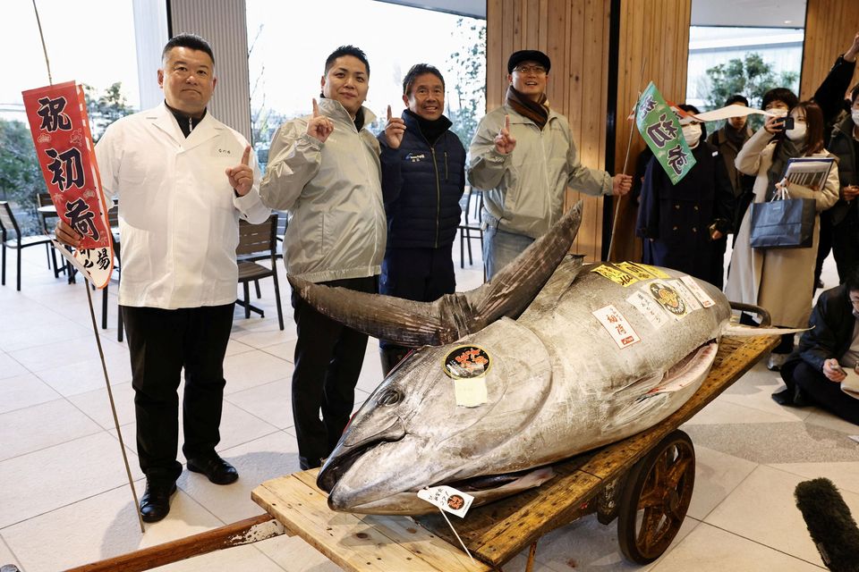 Buyer pays €1.28m for 276kg tuna at Tokyo New Year&s auction