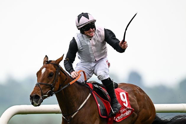 Wayne Bailey: Teahupoo has figures in his favour to triumph in Stayers' Hurdle