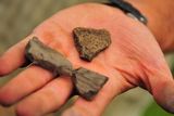 thumbnail: Pottery fragments discovered at Drumhold dating from the Norman settlement at Drumholm