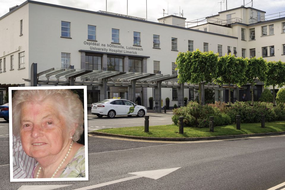 Brigid O’Loughlin, inset, passed away at University Hospital Limerick in October 2017