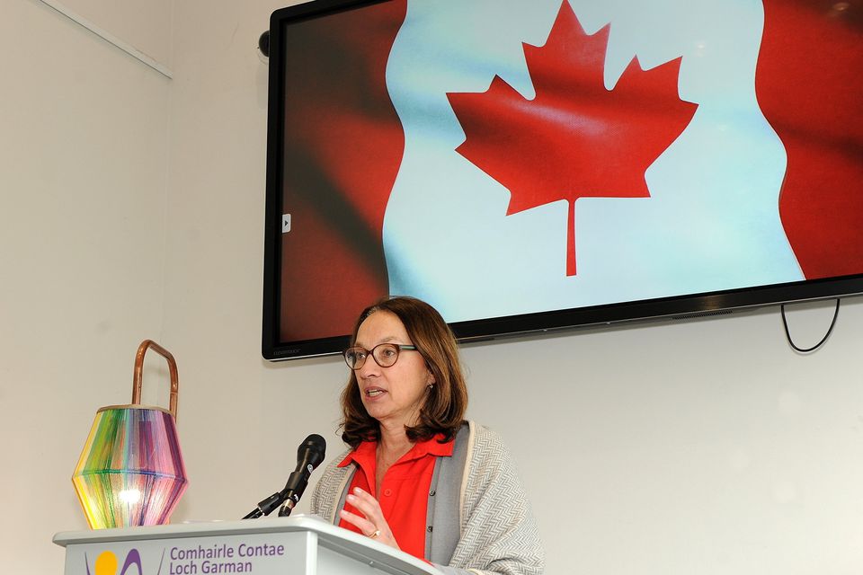 Canadian Ambassador to Ireland Nancy Smyth addressing the attendance in the Gorey Library on Tuesday. Pic: Jim Campbell