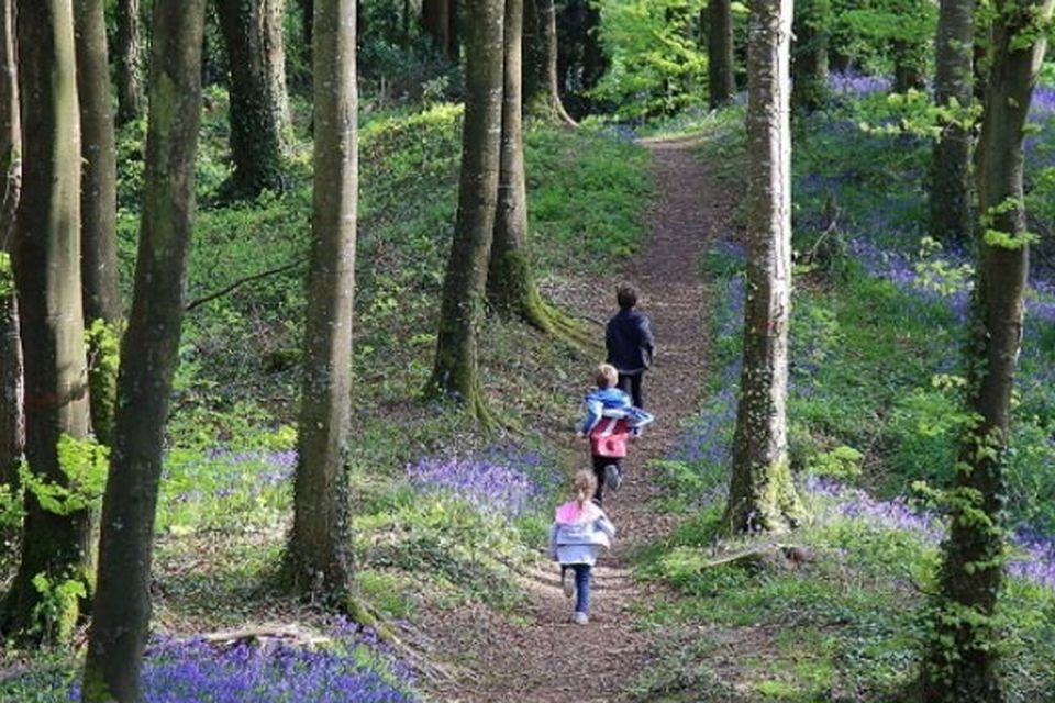 The Slieve Bloom Walking Festival takes place on Saturday May 4 and finishes on Monday, May 6. See slievebloom.ie for full details 
