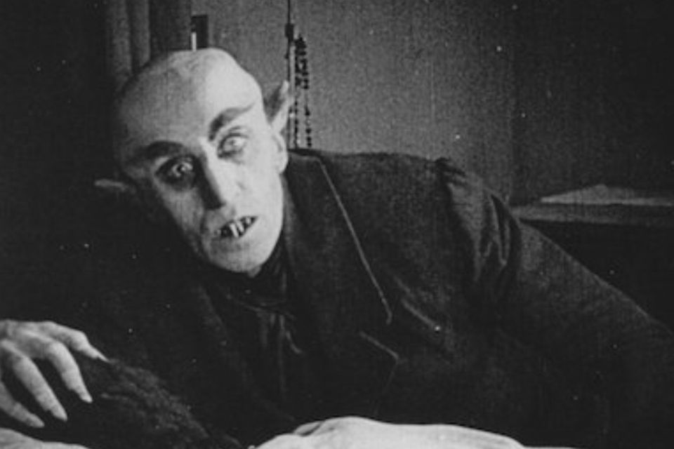 Nosferatu will be played at Saint Fin Barre's Cathedral in Cork