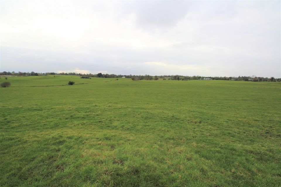 A 55ac parcel of land at Archerstown, Delvin is suitable for cattle only, and has good handling facilities and a water supply