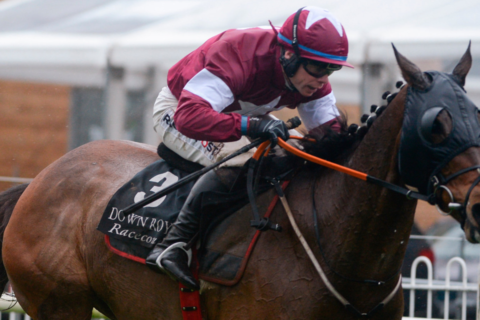 Monbeg Notorious was prominent throughout the three-and-a-quarter-mile affair. Pic: Sportsfile