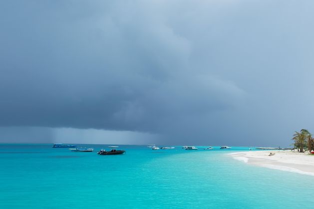 Authorities investigating deaths of five experienced divers in Maldives