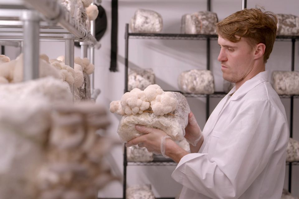 Gareth from Fungi Foods UK in ​Aldi’s Next Big Thing