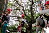 thumbnail: Tree climbing at Rock Farm, Slane