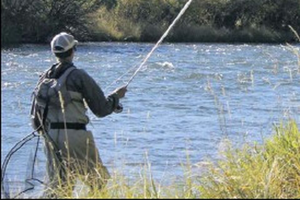 Rods & Reels - Slaney Fishing