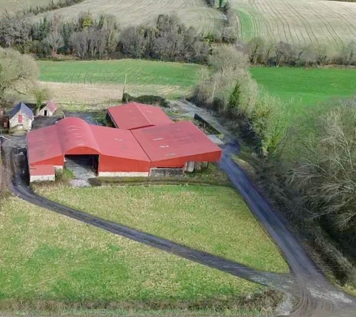 Wexford roadside holding with farmyard sells for over €2.3m at auction