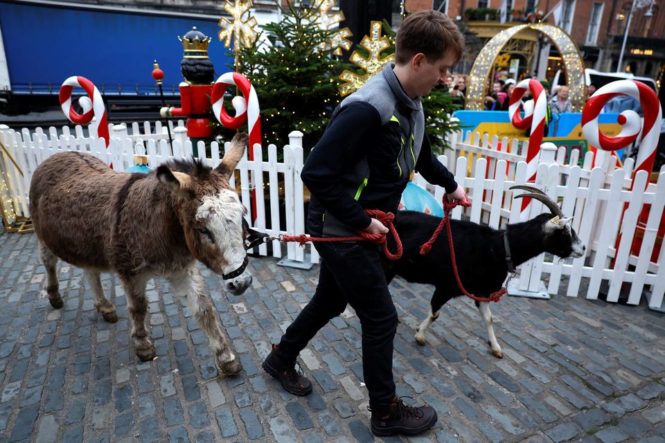 A man leads a donkey and a goat towards the live animal crib at the Mansion House. Pic: REUTERS/Clodagh Kilcoyne