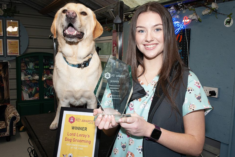 Sarah Ryan and Ramsey pictured with Newcomer Groomer of the Year award at the at the Lord Leroy's Lodge in Castlebridge on Friday. Pic: Jim Campbell