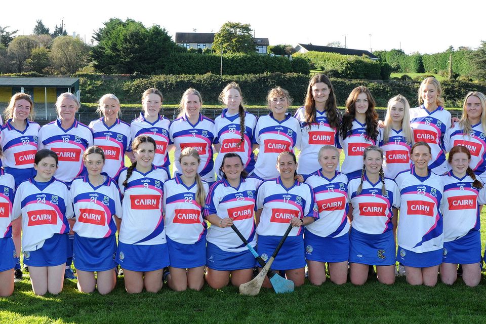 The Éire Óg Greystones team who lost out to Knockananna in the Junior camogie championship final. 