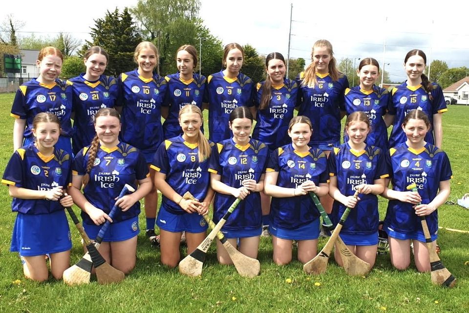 The Wicklow U16 camogie team ahead of their All-Ireland 'C' championship meeting with Tyrone. 