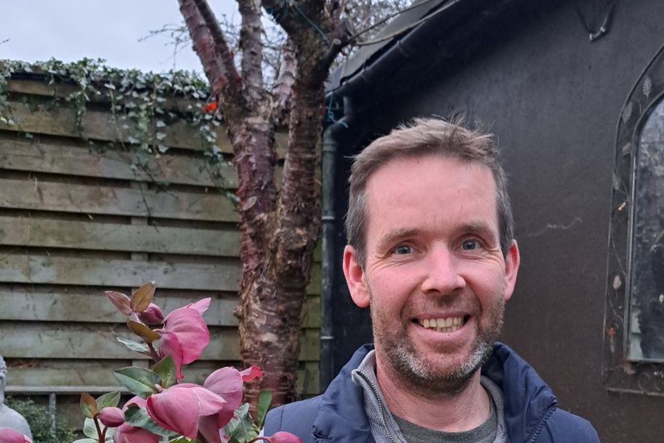 Landscape gardener David Shortall