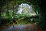 thumbnail: A fallen tree blocks the R292 at Culleenamore, Strandhill, Co. Sligo. Photo: James Connolly