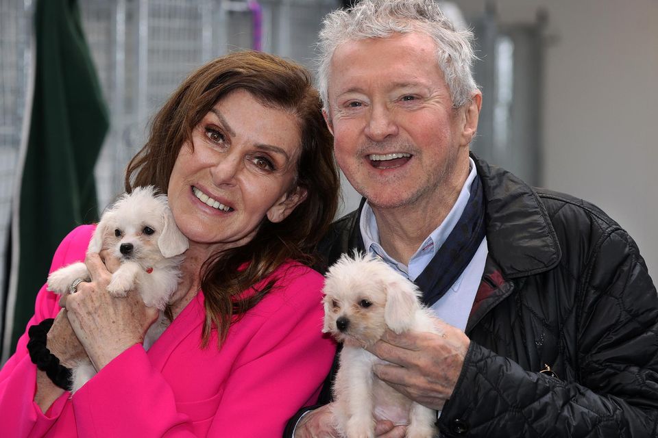 Linda Martin and Louis Walsh at the official launch of her new sanctuary, The Dublin Dog Hub. Pics: Steve Humphreys
