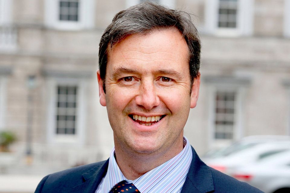 Junior Minister Michael D’Arcy. Photo: Tom Burke