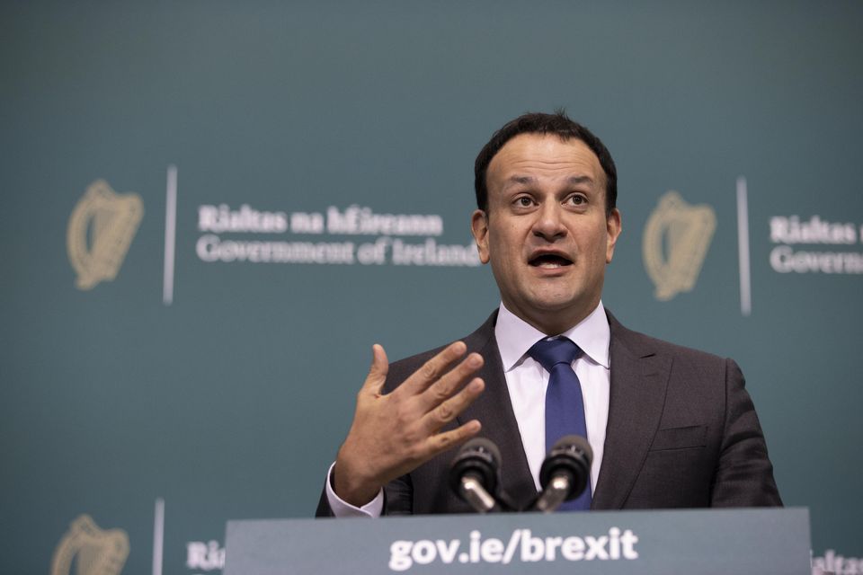 Leo Varadkar speaking at the launch of the agrifood scheme at Government Buildings. Photo: Julian Behal