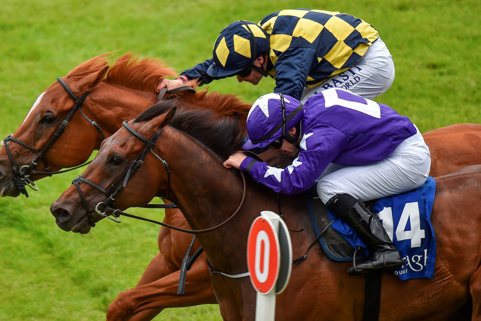 Rattling Jewel, 14, with Wayne Lordan up, cross the line by a nose in a photo finish ahead of In Salutem, with Pat Smullen up, to win at the Curragh last night. Photo: Sportsfile