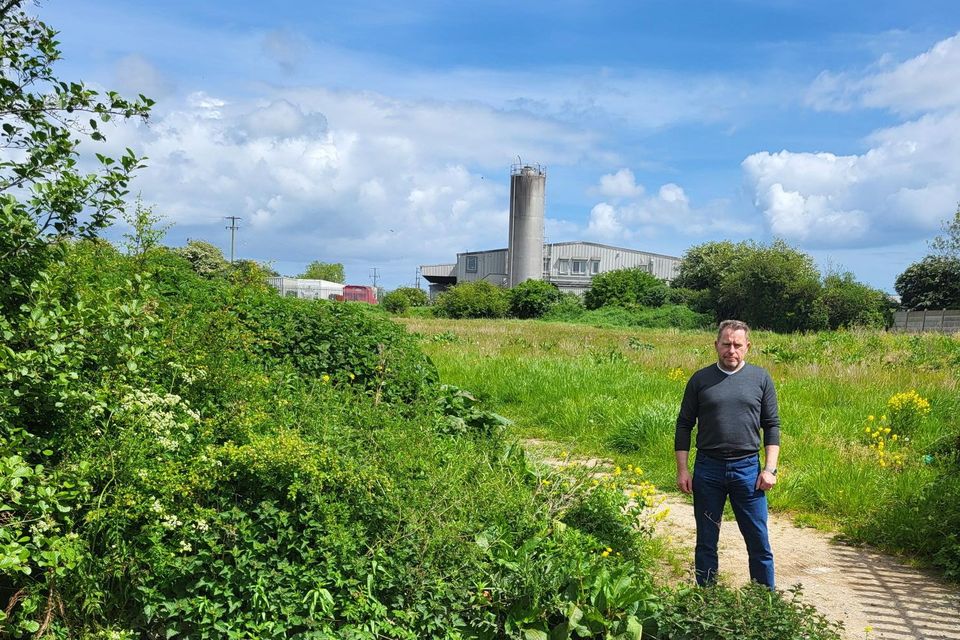 Cllr. Declan Power at the stream of St. Laurence's Pk and Lia Bhreaga that is becoming a breeding ground for illegal dumping.