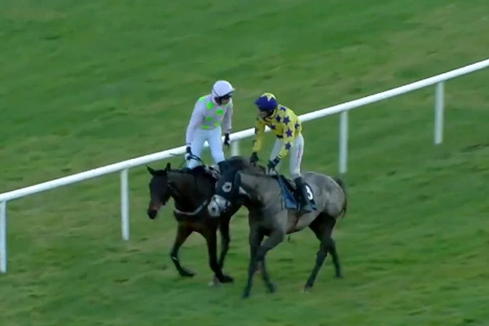 Patrick Mullins tuvo un enfrentamiento con su primo Danny después de la carrera en Limerick.