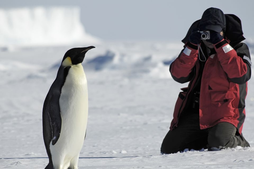A tourist photographing a penguin. PA Photo/iStock.