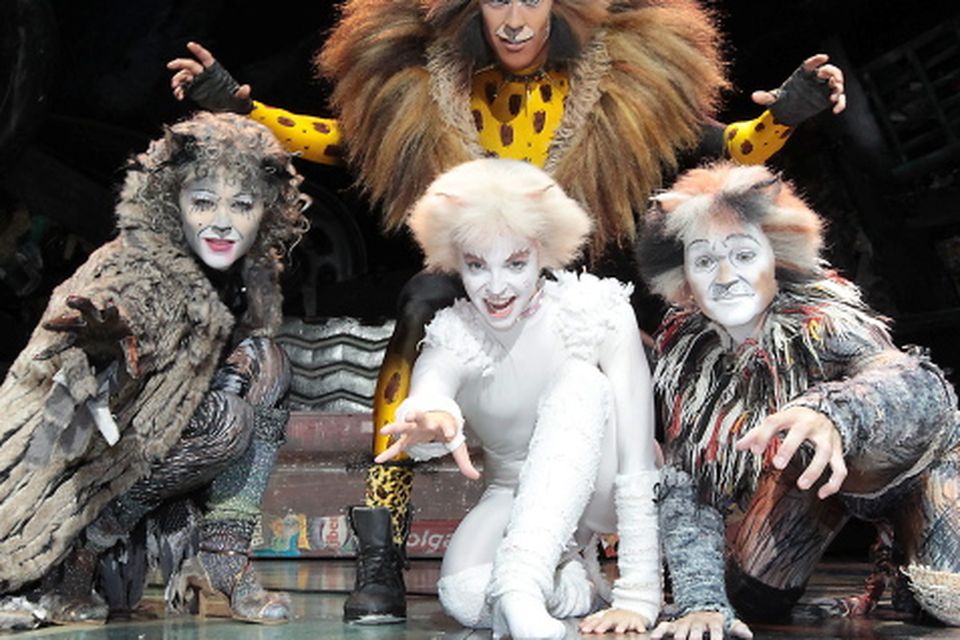 SCAREDY CAT  Theatre Royal