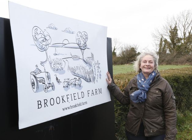 Turning a tillage farm into a natural, sustainable, biodiverse hive of activity with multiple income streams