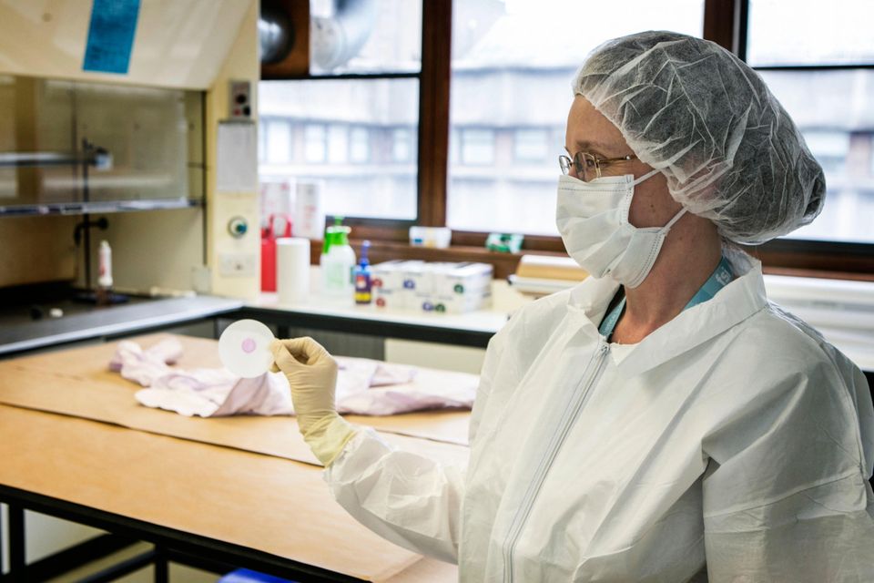 Swab team: A technician at Forensic Science Ireland examines a crime scene sample; and inset, Dr Geraldine O'Donnell, director of DNA 
at FSI. Photo: Kyran O'Brien