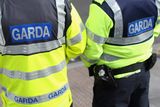 thumbnail: Gardai received a report about the incident at around 8.30 p.m.