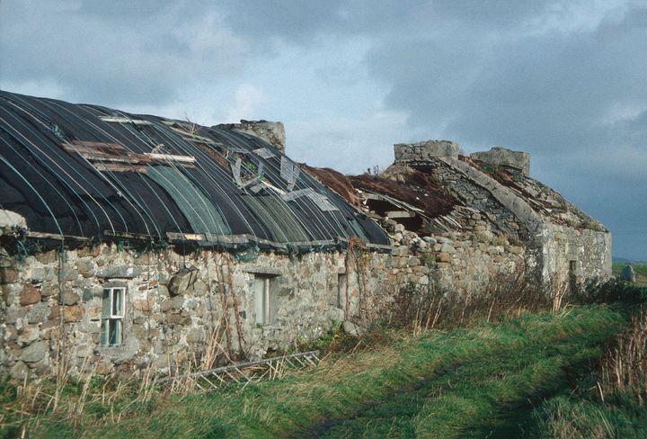 Kathy Donaghy: The 1926 Census opened a window into the lives of the family members who shaped my own life