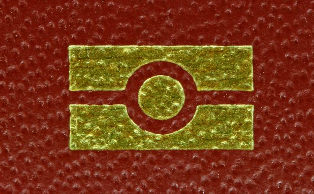 Electronic Passport Symbol. Photo: Deposit