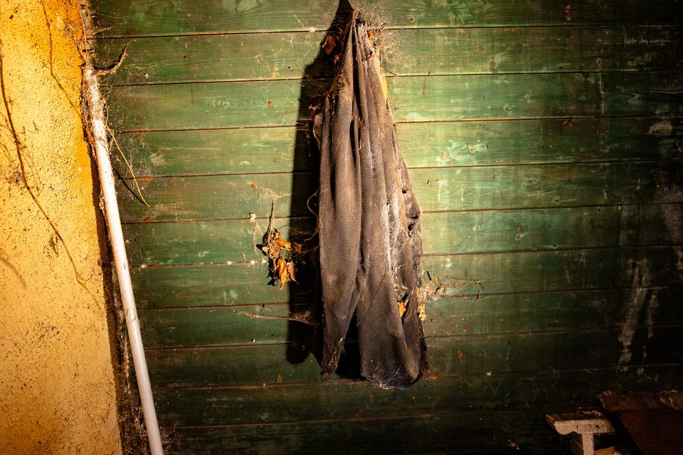 Covered in cobwebs and leaves, a coat hangs in the house. Photo: Mark Condren