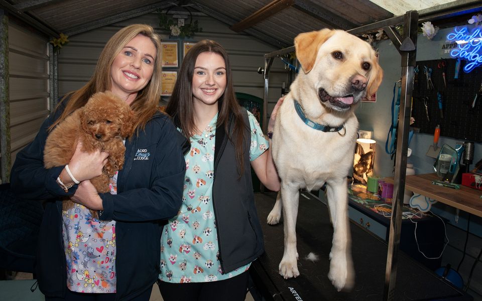 Sinead Quirke and Sarah Ryan with Millie and Ramsey at the Lord Leroy's Lodge in Castlebridge on Friday. Pic: Jim Campbell