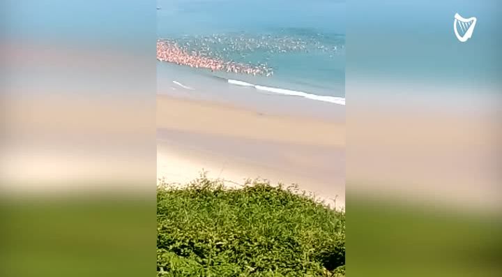 Watch Thousands Of Women Break Record For Worlds Largest Skinny Dip At Irish Beach 4521