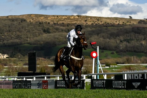 Kempton set for blockbuster St Stephen’s Day as Constitution Hill takes on Lossiemouth