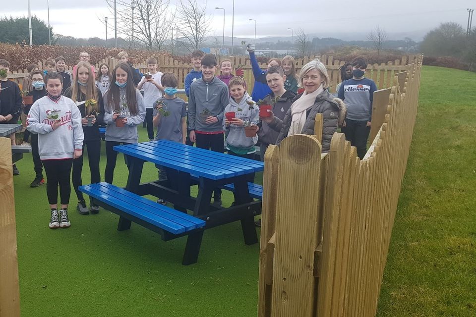 Blessington Allotments Campaign help 194 local students grow