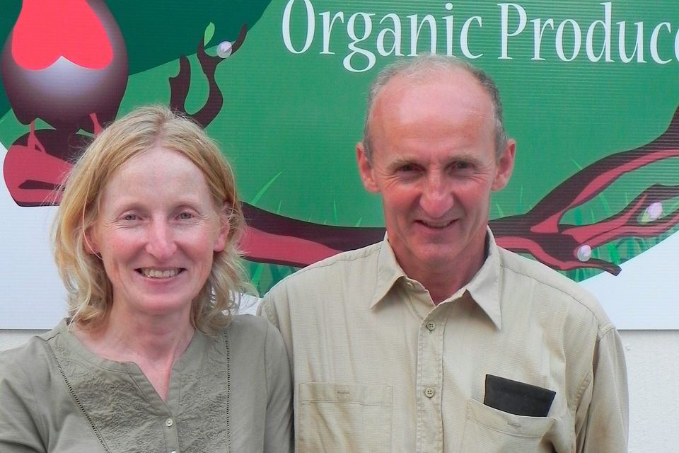 Organic converts:  Eleanor and Richard Murphy farm 73 hectares in Glanmore, Co Kilkenny.