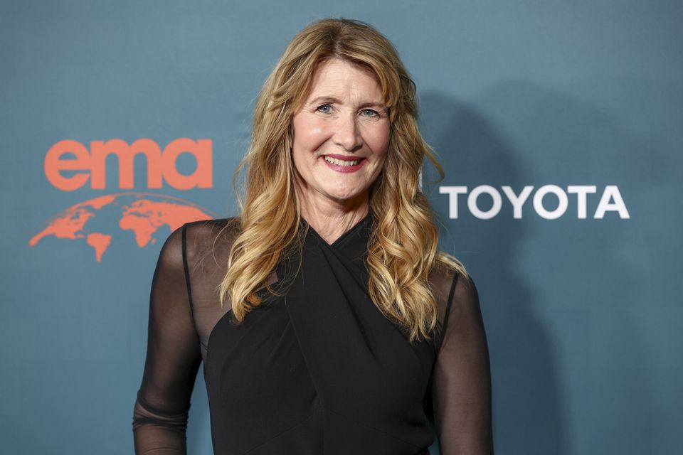 Laura Dern says it's natural for actors to follow in the footsteps of their actor parents. Photo: Getty