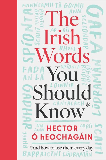 Notions and necessities: From tasty scónbos to yoga retreats and Meave Binchy and hot air balloon events, it’s all here