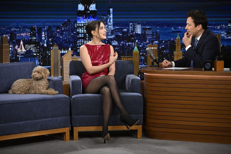 Millie Bobby Brown brought her dog to her Tonight Show interview with Jimmy Fallon in February 2024. Photo: Todd Owyoung/NBC via Getty Images